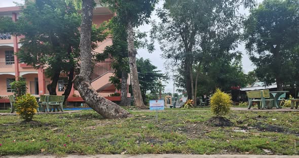 🌼🌿 CÔNG TRÌNH THANH NIÊN – VƯỜN HOA THANH NIÊN Năm học 2025 – 2026 🌿🌼